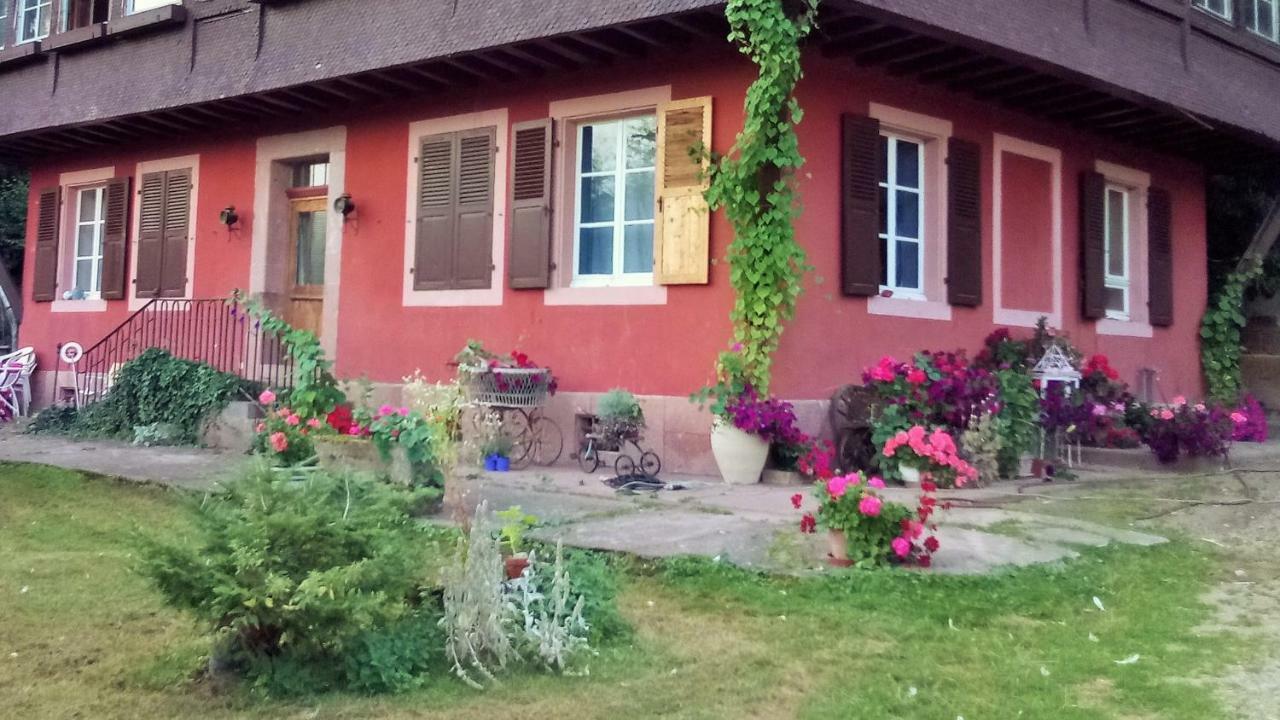Gite "Cadichon" Munster  Exterior foto