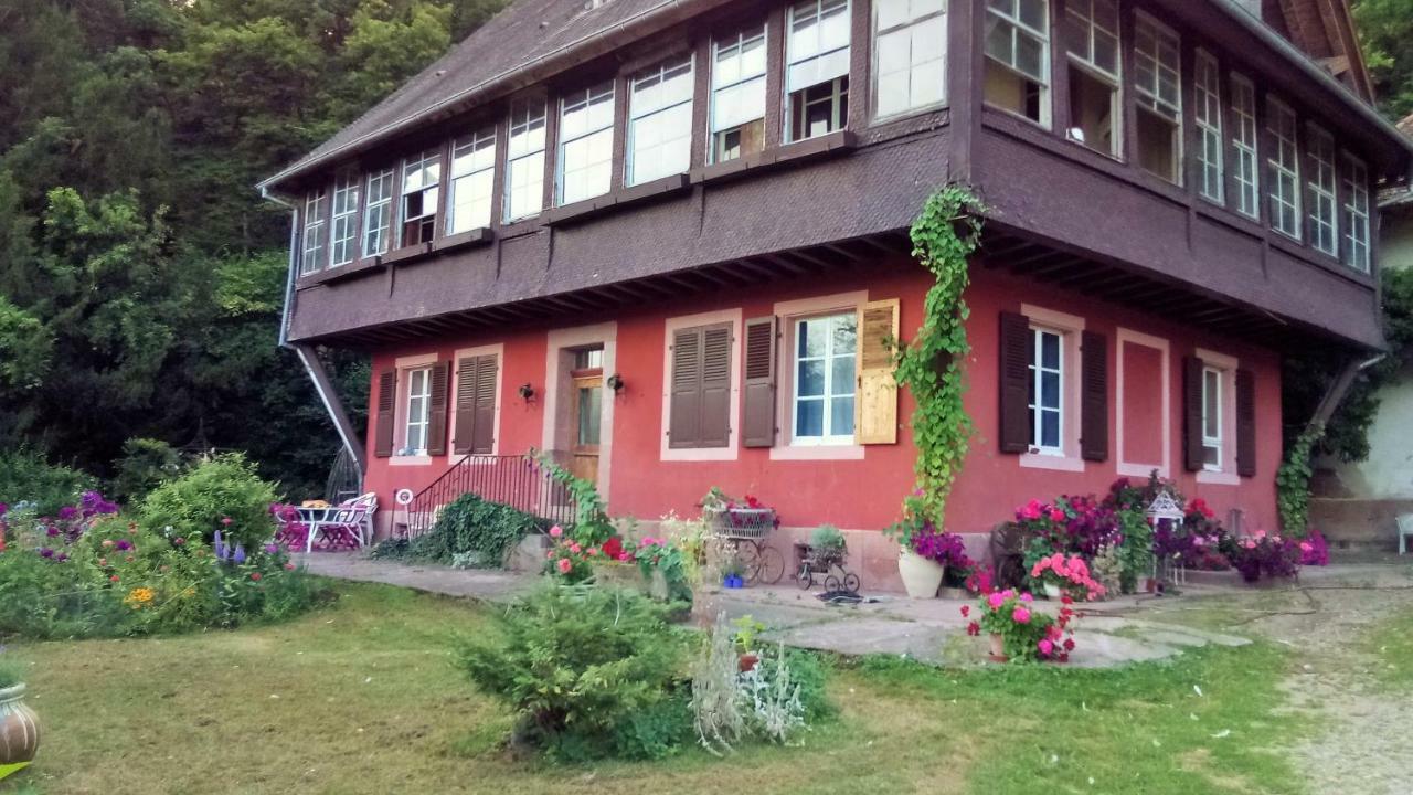 Gite "Cadichon" Munster  Exterior foto
